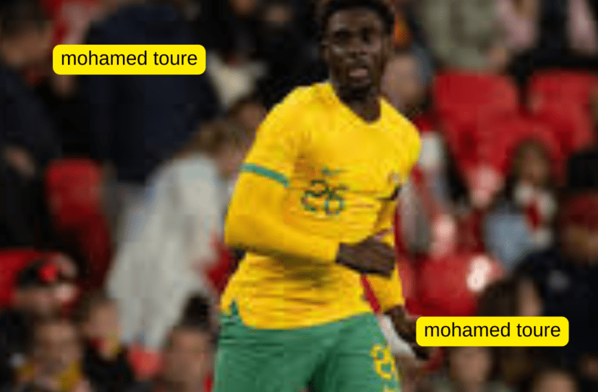 mohamed toure